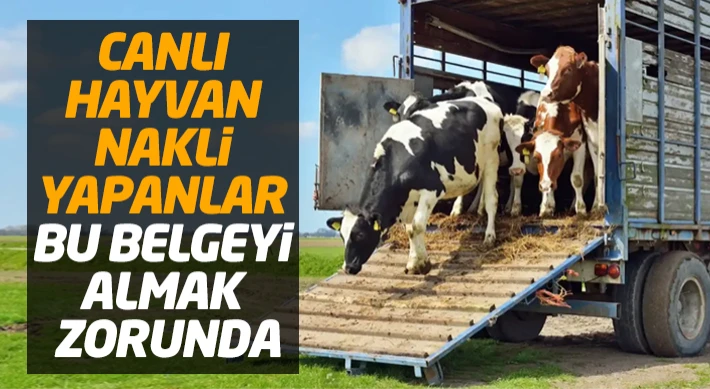 Canlı Hayvan Nakli Yapanlar Bu Belgeyi Almak Zorunda