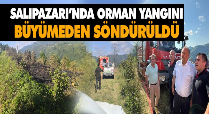 Salıpazarı’nda Orman Yangını Büyümeden Söndürüldü