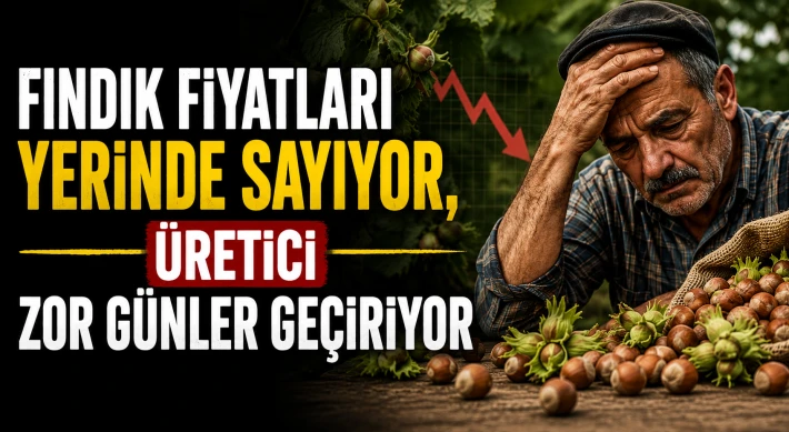 Fındık Fiyatları Yerinde Sayıyor, Üretici Zor Günler Geçiriyor
