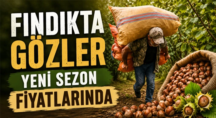 Fındıkta Gözler Yeni Sezon Fiyatlarında