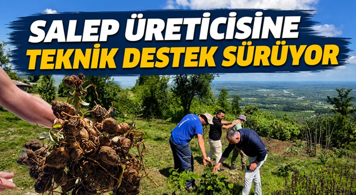 Salep Üreticisine Teknik Destek Sürüyor