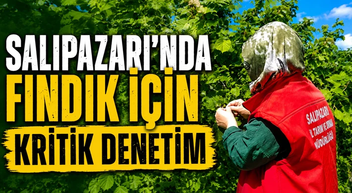 Salıpazarı'nda Fındık İçin Kritik Denetim