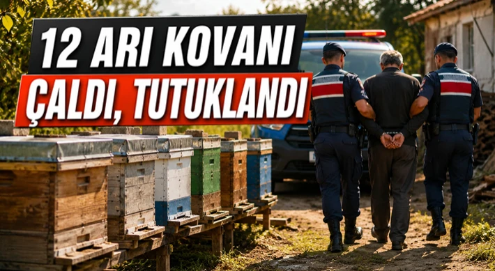 Çarşamba’da 12 Arı Kovanı Çalan Şüpheli Tutuklandı