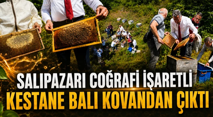 Coğrafi İşaretli Kestane Balı Kovandan Çıktı