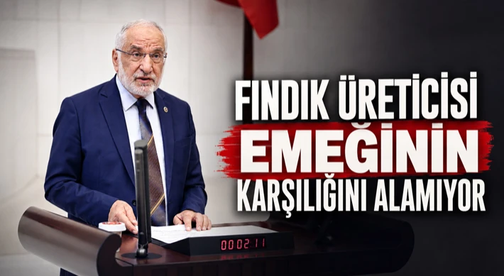“Fındık Üreticisi Emeğinin Karşılığını Alamıyor”