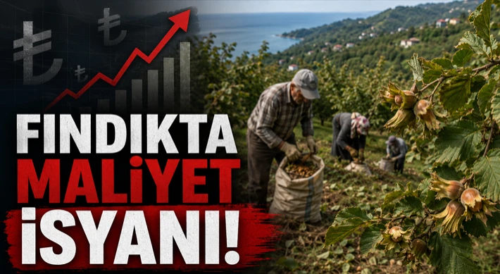 Fındıkta Maliyet İsyanı