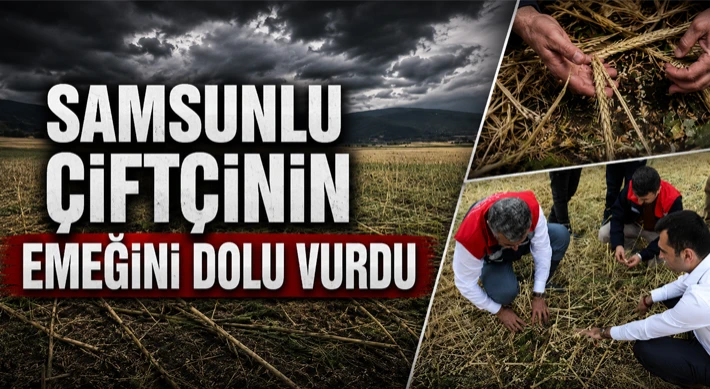 Samsunlu Çiftçinin Emeğini Dolu Vurdu