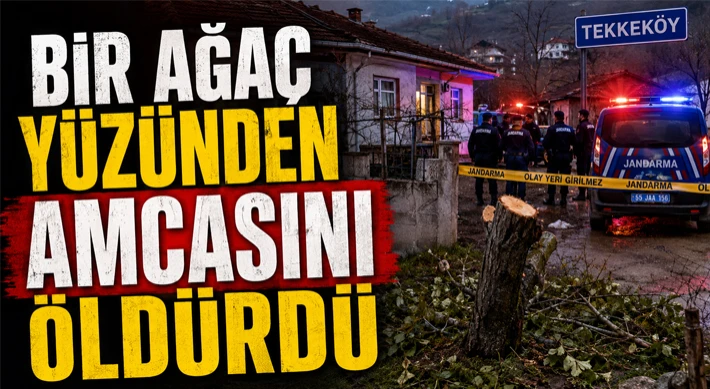 Bir Ağaç Yüzünden Amcasını Öldürdü