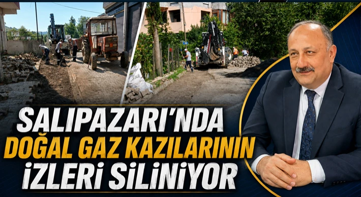 Doğal Gaz Kazılarının İzleri Siliniyor