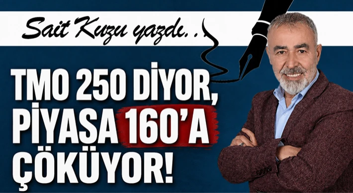 TMO 250 diyor, Piyasa 160’a Çöküyor!