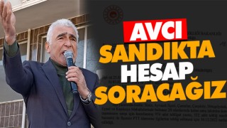Avcı, Sandıkta Hesap Soracağız