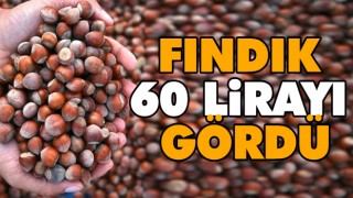 Fındık 60 Lirayı Gördü