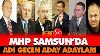 MHP Samsun’da Hareketlilik Başladı
