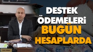 Destek Ödemeleri Bugün Hesaplarda