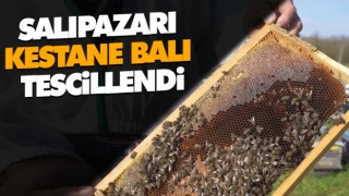 Salıpazarı Kestane Balı Tescillendi