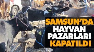 Samsun’da Tüm Hayvan Pazarları Kapatıldı