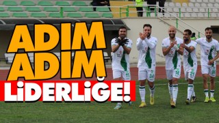 Adım Adım Liderliğe!