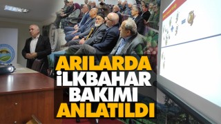 Arılarda İlkbahar Bakımı Anlatıldı