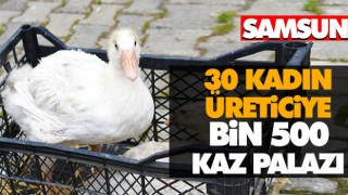 30 Kadın Üreticiye Bin 500 Kaz Palazı