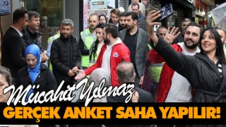 Gerçek Anket Saha Yapılır!