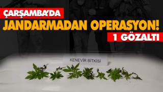 Jandarmadan Operasyon!