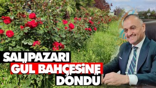 Salıpazarı Gül Bahçesine Döndü