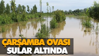 Çarşamba Ovası Sular Altında