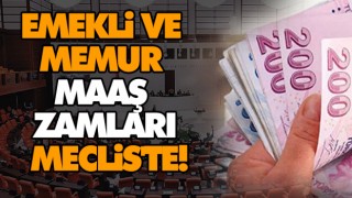 Emekli Ve Memur Maaş Zamları Meclis'te!