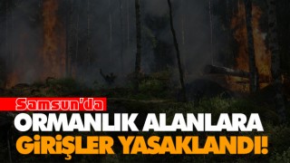 Ormanlık Alanlara Girişler Yasaklandı!