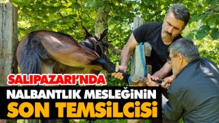 Salıpazarı’nda Nalbantlık Mesleğinin Son Temsilcisi
