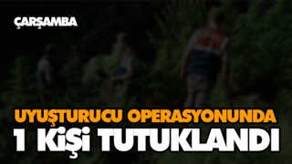 Uyuşturucu Operasyonunda 1 Kişi Tutuklandı