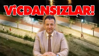 Vicdansızlar! Ağaçları yaktılar