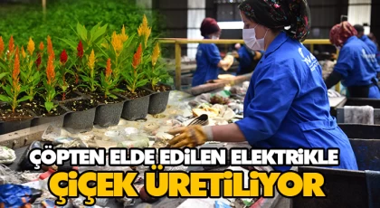 Çöpten Elde Edilen Elektrikle Çiçek Üretiliyor