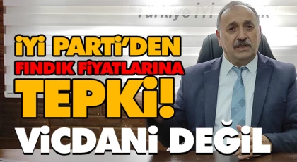 İyi Parti’den Fındık Fiyatlarına Tepki! Vicdani Değil