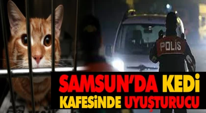 Samsun’da Kedi Kafesinde Uyuşturucu