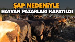 Şap Nedeniyle Hayvan Pazarları Kapatıldı