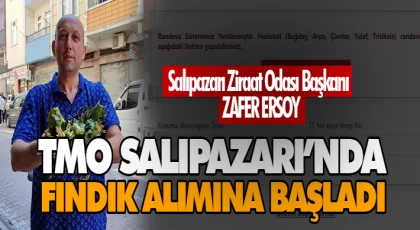 TMO Salıpazarı’nda Fındık Alımına Başladı