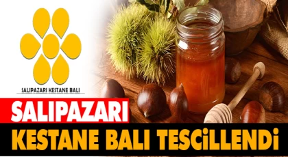 Salıpazarı Kestane Balı Tescillendi