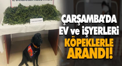 Çarşamba’da Ev ve İşyerleri Köpeklerle Arandı!