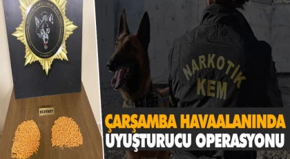Havaalanında Uyuşturucu Operasyonu
