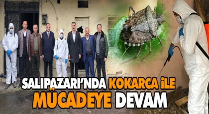 Salıpazarı’nda Kokarca İle Mücadeye Devam