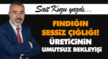 Fındığın Sessiz Çığlığı! Üreticinin Umutsuz Bekleyişi