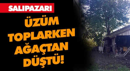 Salıpazarı’nda Ağaçtan Düşen Bir Kişi Yaralandı.