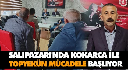 Salıpazarı'nda Kokarca İle Topyekün Mücadele Başlıyor