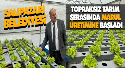 Salıpazarı Belediyesi Topraksız Tarım Serasında Marul Üretimine Başladı