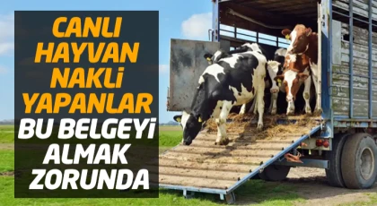 Canlı Hayvan Nakli Yapanlar Bu Belgeyi Almak Zorunda