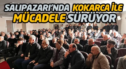 Salıpazarı’nda Kahverengi Kokarca İle Mücadele Sürüyor