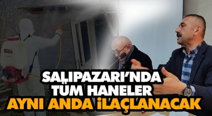 Salıpazarı’nda Tüm Haneler Aynı Anda İlaçlanacak