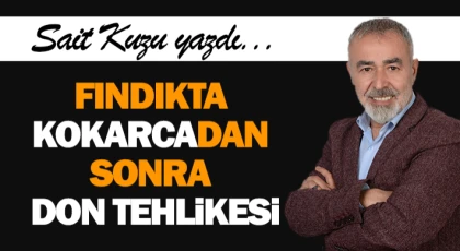 Fındıkta Kokarcadan Sonra "Don" Tehlikesi