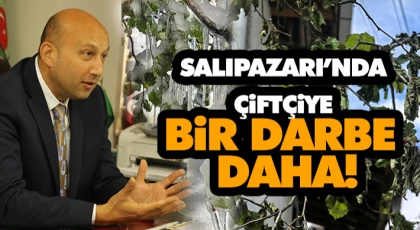 Salıpazarı’nda Çiftçiye Bir Darbe Daha!